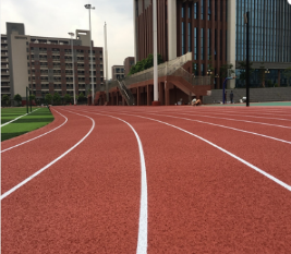 塑胶跑道厂家 塑胶跑道厂家