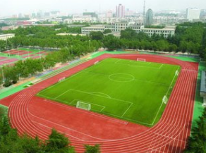 塑胶跑道厂家 塑胶跑道厂家